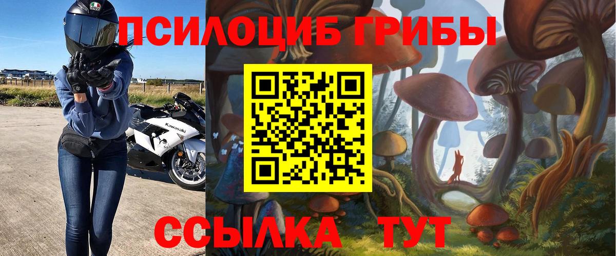Псилоцибиновые грибы Psilocybine cubensis  Вход с VPN  Прокопьевск 
